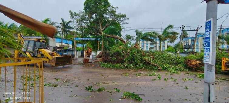 Junagadh Agricultural University issued guidelines about damaged trees Junagadh: વાવાઝોડામાં ઉખડી ગયેલા વૃક્ષો ફરી બનશે લીલાછમ, બસ અપનાવો આ ટેકનિક