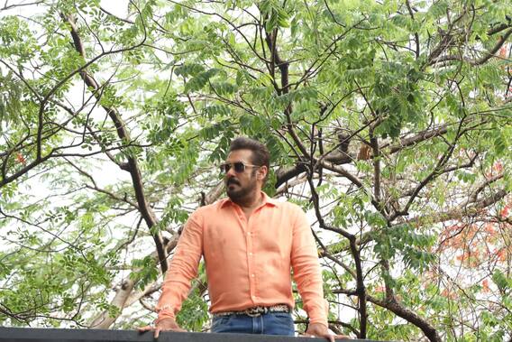 ওটিটির বিগ বসে সলমন খান