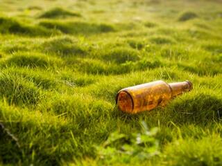 ਕੀ ਤੁਸੀਂ ਵੀ Bro Code ਨੂੰ ਬੀਅਰ ਸਮਝਕੇ ਪੀਂਦੇ ਹੋ? ਜਾਣੋ ਅਸਲ ਵਿੱਚ ਕੀ ਹੈ ਇਹ