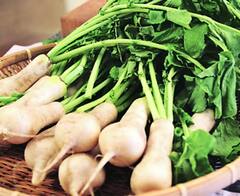 Health News: मुळा खाल्ल्याने होतील हे फायदे, जाणून घ्या सविस्तर