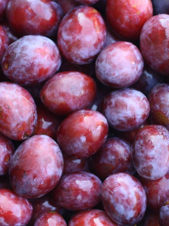 आलूबुखारा खाने से शरीर को मिलेंगे ये फ़ायदे