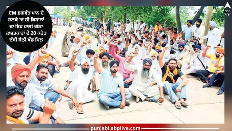 Farmers are getting disturbed within the constituency of Chief Minister Bhagwant Mann Sangrur News: ਸੀਐਮ ਭਗਵੰਤ ਮਾਨ ਦੇ ਹਲਕੇ 'ਚ ਹੀ ਕਿਸਾਨਾਂ ਦਾ ਇਹ ਹਾਲ! ਗੰਨਾ ਕਾਸ਼ਤਕਾਰਾਂ ਦੇ 20 ਕਰੋੜ ਦੱਬੀ ਬੈਠੀ ਖੰਡ ਮਿਲ