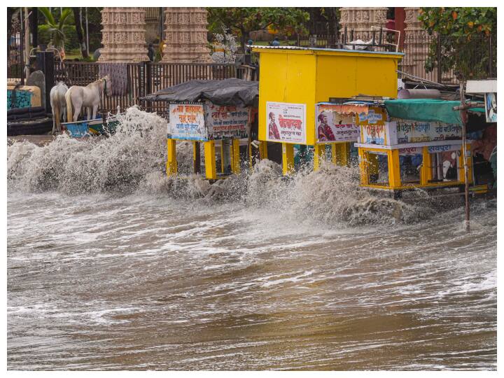 Biparjoy Cyclone Many animals died 22 people injured and hundreds of villages lost electricity Biparjoy landfall in Gujarat Biparjoy Cyclone: बेजुबानों की मौत, 22 लोग घायल...सैकड़ों गांवों की बिजली गुल- गुजरात में बिपरजॉय की तबाही