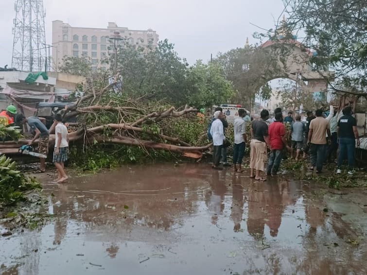 Cyclone Biparjoy: Father, Son Die While Saving Livestock From Flashflood In Gujarat Caused By Heavy Rain Cyclone Biparjoy: Father, Son Die While Saving Livestock From Flashflood In Gujarat Caused By Heavy Rain