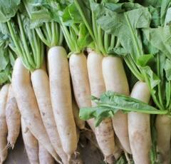 Health News: मुळा खाल्ल्याने होतील हे फायदे, जाणून घ्या सविस्तर