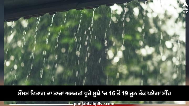 Learn Punjabi - Punjabi has words for different types of rainfall : ਤਰੌਂਕਾ  Taraunka - Drizzle ਵਾਛੜ Vaashad - Downpour ਝੰਬ Jhamb - rain falling aslant  due to wind ਝਾਂਜਾ Jhaanja 