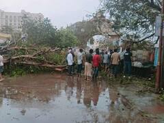 तेज हवाओं ने उखाड़ फेंके पेड़, गिरा दिए खंभे... बिपरजॉय ने कैसे बरपाया कहर, 10 तस्वीरों में देखें खौफनाक मंजर