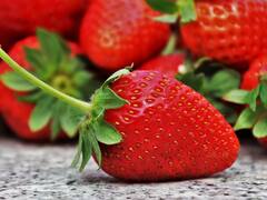 इस फ्रूट में फल के बाहर होता है उसका बीज, आपने भी देखा होगा इसे