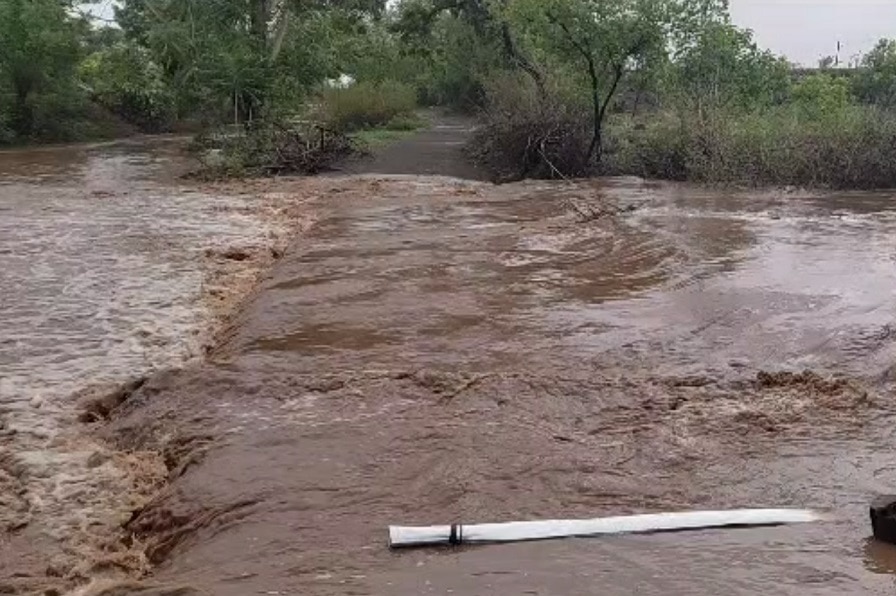 Cyclone Biparjoy :  વાવાઝોડા બાદ સૌરાષ્ટ્રના જિલ્લાઓમાં જોવા મળ્યા ઠેર ઠેર તબાહીના દ્રશ્યો, અનેક વૃક્ષો થયા ધરાશાયી