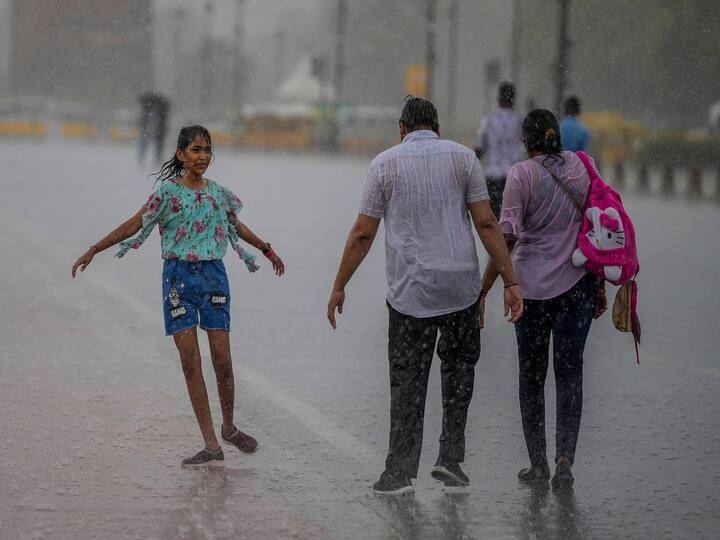 The Regional Meteorological Centre (RMC) also predicted a generally cloudy sky with light rain or drizzle in Delhi over the next seven days, with significant rainfall and gusty winds on June 18 and 19. (Image Source: PTI)