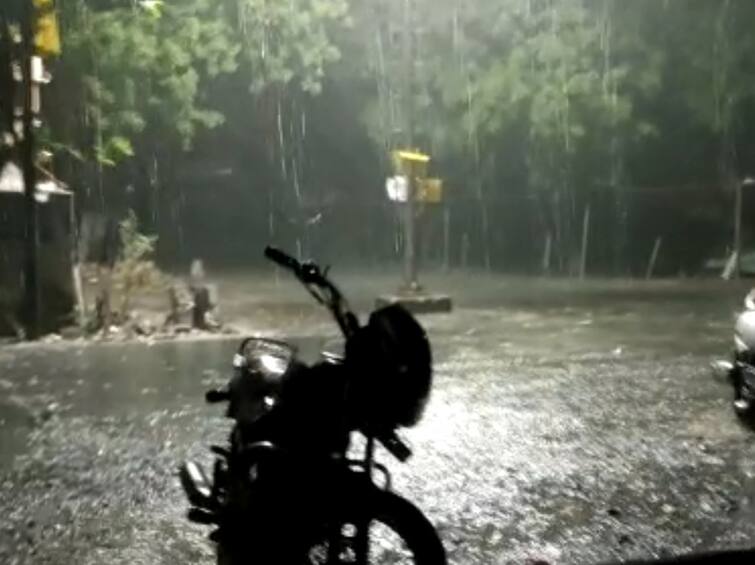 Chuda taluka of Surendranagar district received three and a half inches of rain Gujarat Rain Update: સુરેન્દ્રનગરના આ તાલુકામાં 2 કલાકમાં સાડા ત્રણ ઈંચ વરસાદ ખાબકતા જળબંબાકાર