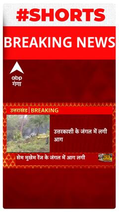 उत्तरकाशी के सेम मुखेम रेंज के जंगल में लगी आग... | Uttarakhand News