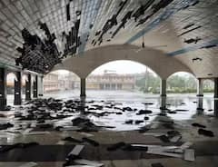 ભારે પવનમાં ધરાશાયી થયા અનેક વૃક્ષો, 10 તસવીરોમાં જુઓ બિપરજોય વાવાઝોડાએ ગુજરાતમાં મચાવેલો કહેર