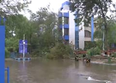 Cyclone Biparjoy Impact: Swaminarayan Temple Hall Damaged, Trees Uprooted, Flooding In Gujarat — IN PICS