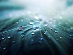 बारिश की बूंदें गोल ही क्यों बनती हैं, चौकोर या सपाट क्यों नहीं