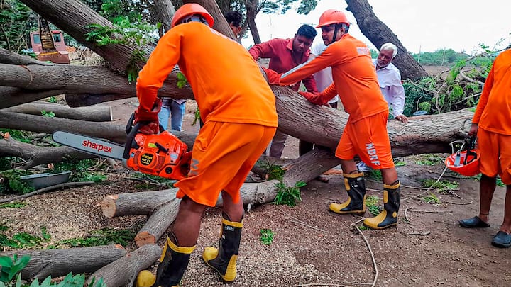 Cyclone Biparjoy : गुजरातला बिपरजॉय चक्रीवादळाचा तडाखा बसल्यामुळे येथील जनजीवन पूर्णपणे विस्कळीत झालं आहे. येथे वादळी वाऱ्यांसह पाऊस कायम आहे.