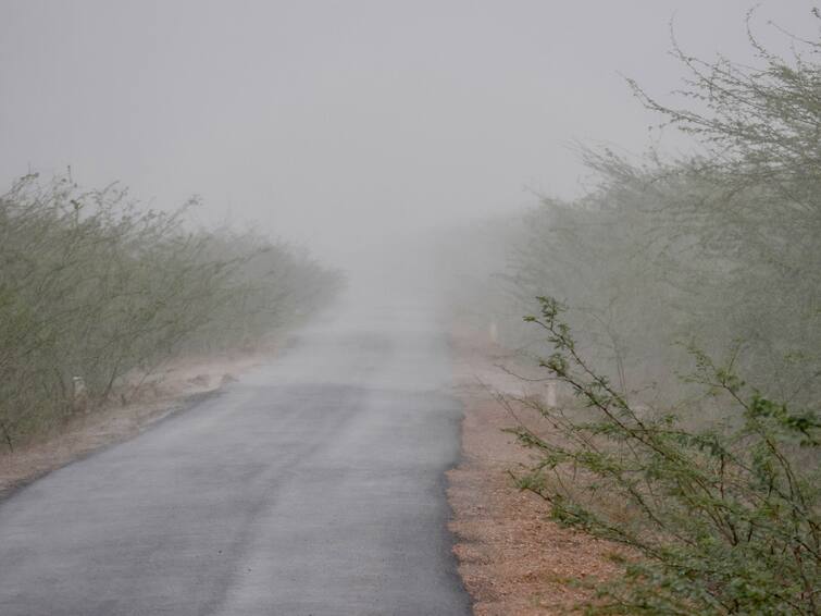 Cyclone Biparjoy Moves To Rajasthan, Causes Heavy Rainfall, Downpour To Continue All Weekend