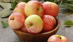 Weight Loss Fruits: ਭਾਰ ਘਟਾਉਣ 'ਚ ਮਾਹਰ ਹਨ ਇਹ ਫਲ, ਘਟ ਕਰਦੇ ਨੇ ਪੇਟ ਦੀ ਚਰਬੀ ਨੂੰ