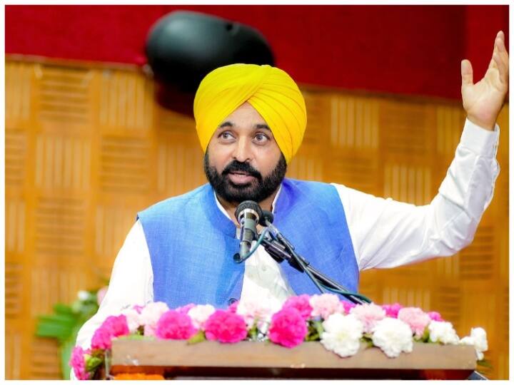 Targeting Sukhbir Singh Badal, CM Mann called himself 'mad', know what is the whole matter? Punjab Politics: सुखबीर सिंह बादल पर निशाना साधते हुए CM मान ने खुद को बताया ‘पागल’, जानिए क्या है पूरा मामला?