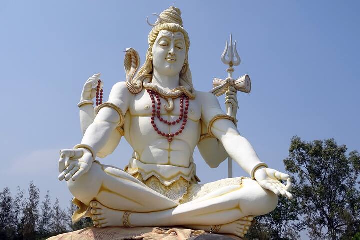 অমাবস্যা তিথিতে খুব ভোরে ঘুম থেকে উঠে গায়ত্রী মন্ত্র ১০৮ বার জপ করুন এবং সূর্য ও তুলসীকে জল নিবেদন করুন। এই দিন শিবলিঙ্গে জল অর্পণ করুন। গরুকে চাল নিবেদন করুন। পিপল গাছে তুলসী রাখুন।