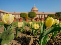 Nehru Museum Renamed: नेहरू संग्रहालयाचे नामांतर, 9 वर्षात मोदी सरकारने केला संग्रहालयाचा कायापालट