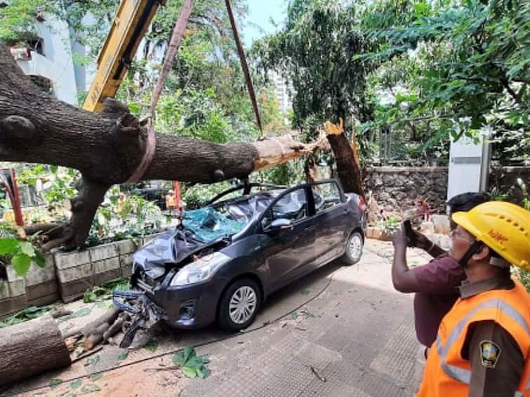 IRDAI Directs Insurers To Fast-Track Claim Settlement Process In States Affected By Cyclone Biparjoy IRDAI Directs Insurers To Fast-Track Claim Settlement Process In States Affected By Cyclone Biparjoy
