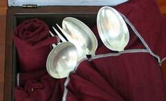 Silver Utensils: ঐশ্বর্য ও আভিজাত্যের প্রতীক নয় শুধু, রুপোর বাসনে খাওয়া উপকারী স্বাস্থ্যের জন্যও