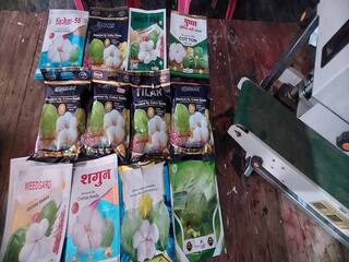 Wardha : वर्धा बोगस बियाणे प्रकरणी SIT स्थापन, तपासात मोठे मासे गळाला लागण्याची शक्यता