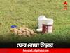 Birbhum news: বারুদের স্তূপে বীরভূম! ফের বোমা উদ্ধার শান্তিনিকেতনে