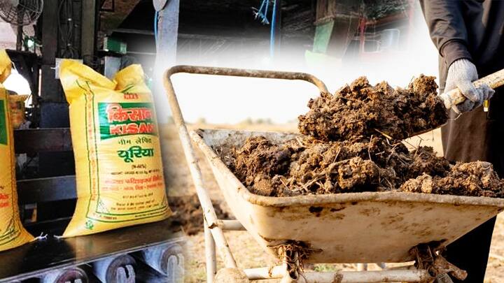 Mandatory to buy dung fertilizer with urea and DAP Agriculture - ਯੂਰੀਆ ਤੇ ਡੀਏਪੀ ਨਾਲ ਗੋਬਰ ਖਾਦ ਖਰੀਦਣੀ ਲਾਜ਼ਮੀ, ਨਹੀਂ ਤਾਂ ਲੱਗੇਗਾ ਮੋਟਾ ਜ਼ੁਰਮਾਨਾ : ਕੇਂਦਰ ਨੇ ਹੁਕਮ ਕੀਤੇ ਜਾਰੀ 