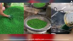 ਕੀ ਤੁਸੀਂ ਵੀ 'ਮਟਰ ਸਨੈਕਸ' ਬੜੇ ਚਾਅ ਨਾਲ ਖਾਂਦੇ ਹੋ? ਇਹ ਵੀਡੀਓ ਦੇਖ ਕੇ, ਭੁੱਲ ਕੇ ਵੀ ਨਹੀਂ ਲਗਾਓਗੇ ਇਸ ਨੂੰ ਹੱਥ