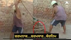 Punjab News: ਤਵੀਆਂ ਨਾਲ ਬੰਨ੍ਹ ਕੇ ਕੁੱਟਿਆ ਕੁੱਤਾ, ਨਹੀਂ ਭਰਿਆ ਮਨ ਤਾਂ ਚਾਕੂ ਮਾਰ ਕੀਤਾ ਲਹੂ-ਲੁਹਾਣ