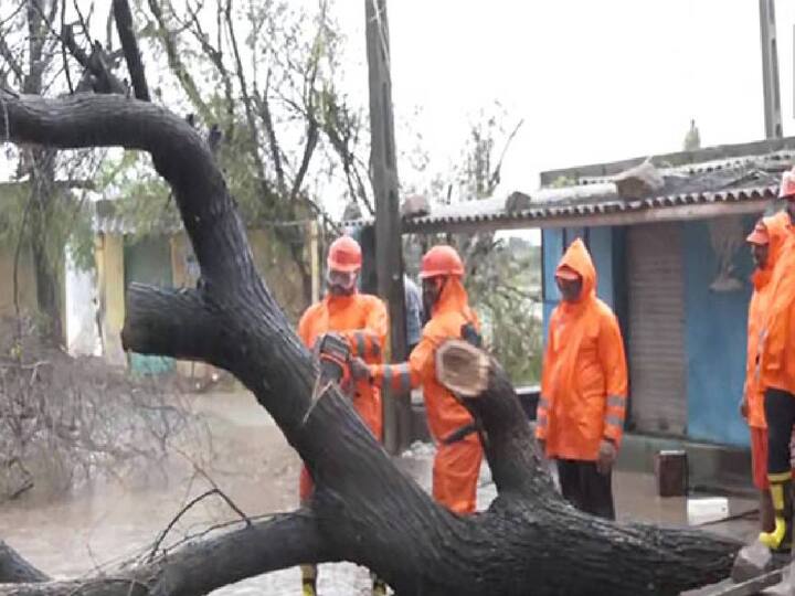 Gujarat Relief Commissioner Alok Singh has said that around 1000 villages have been completely cut off due to Cyclone Bibarjai. Biparjoy Cyclone: பிபர்ஜாய் புயலின் ஆட்டம்..  வெள்ளக்காடாக மாறிய குஜராத்.. 1000 கிராமங்கள் இருளில் மூழ்கிய சோகம்..