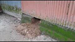 তৃণমূল প্রার্থীর বাড়িতে সিঁধ কেটে ঢুকে, হাত-পা বেঁধে মারধরের অভিযোগ দলেরই বিরুদ্ধে