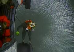 Watch: 300 फीट ऊंची चट्टान से गिरा कुत्ता दलदल में फंसा, 90 मिनट में एयरलिफ्ट कर बचाया