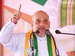 'भगवंत सीएम हैं या पायलट', बीजेपी नेता अमित शाह बोले- मान का एक ही काम, केजरीवाल को देश घुमाना