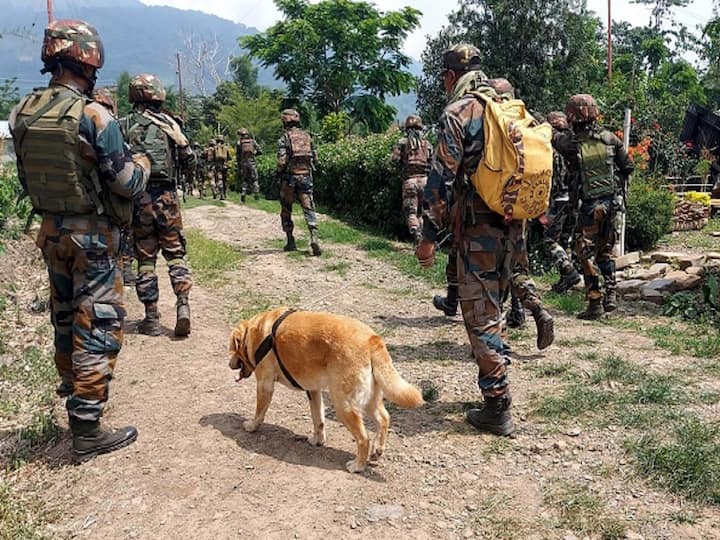Jammu And Kashmir: Indian Army's Romeo Force and Poonch's SOG Police Destroys 61 Explosive Materials Including 11 Live Bombs Indian Army, J&K Police Neutralise 61 Explosives | WATCH