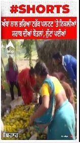 Viral Video । ਅੰਬਾਂ ਨਾਲ ਭਰਿਆ ਟਰੱਕ ਪਲਟਣ 'ਤੇ ਨਿਕਲੀਆਂ ਸ਼ਰਾਬ ਦੀਆਂ ਬੋਤਲਾਂ, ਲੁੱਟਾਂ ਪਈਆਂ