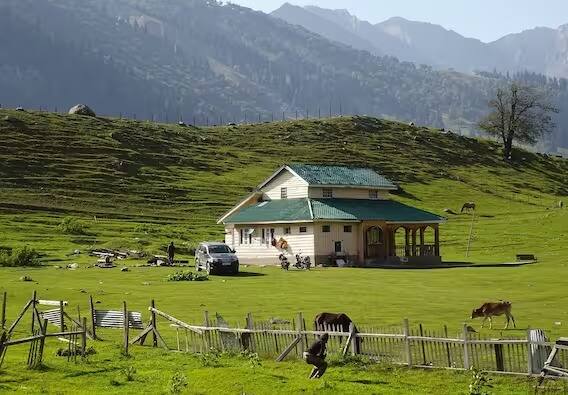 सोनमर्ग (Sonamarg) : तुम्ही काश्मीर पाहिलं नसेल तुम्ही संपूर्ण कुटुंबासह जून महिन्यात सोनमर्गला जाण्याचा प्लॅन करू शकता. याकाळात येथील तापमान 7-12 पर्यंत असते. येथील शिकारा बोटीची सफर खास आकर्षण आहे. यासोबत तुम्ही गोंडोला राइड, जेफ सफारी, फेमस ट्युलिप्स गार्डन, म्युझियम आणि इतर अनेक गोष्टींचा आनंद घेऊ शकता. काश्मिरी पाककृती आणि पश्मिना शालदेखील तुम्ही खरेदी करू शकता.