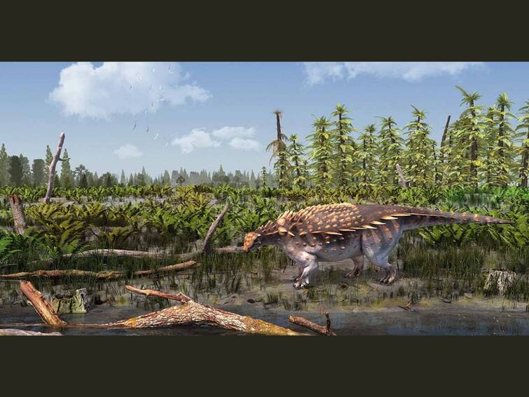 Ankylosaur Species Found In United Kingdom Dinosaur Island All About The Armoured Creature New Ankylosaur Species Found In UK's 'Dinosaur Island'. All About The Armoured Creature