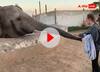Viral Video: हाथी के साथ खेल रही थी लड़की, फोटो लेने की कोशिश की तो हाथी ने ऐसे दिखाया गुस्सा!