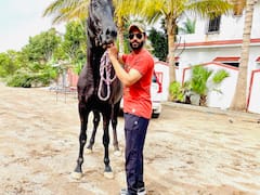 IN PHOTOS: फार्म हाउस पर छुट्टी मना रहे हैं रवींद्र जडेजा, हॉर्स राइडिंग को लेकर फिर से दिखा लगाव, देखें तस्वीरें