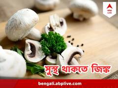 প্রতিদিনের খাবারে জিঙ্ক বাড়াবে রোগ প্রতিরোধ ক্ষমতা! কখন কী খাবেন?