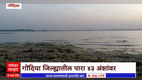 Gondia Water Crisis : गोंदिया जिल्ह्यात पाणी टंचाई, प्रमुख जलाशयांच्या पाणीपातळीत मोठ्याप्रमाणात घट