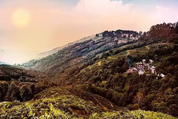 दार्जिलिंग (Darjeeling) : दार्जिलिंग हा देखील पर्यटनासाठी एक उत्तम पर्याय आहे. येथे दिवसाचे तापमान 20-21 अंश आणि रात्री 12-13 अंशांवर जाते. अनेक भागात खूप थंडी असते, यातच वेगळा आनंद असतो.