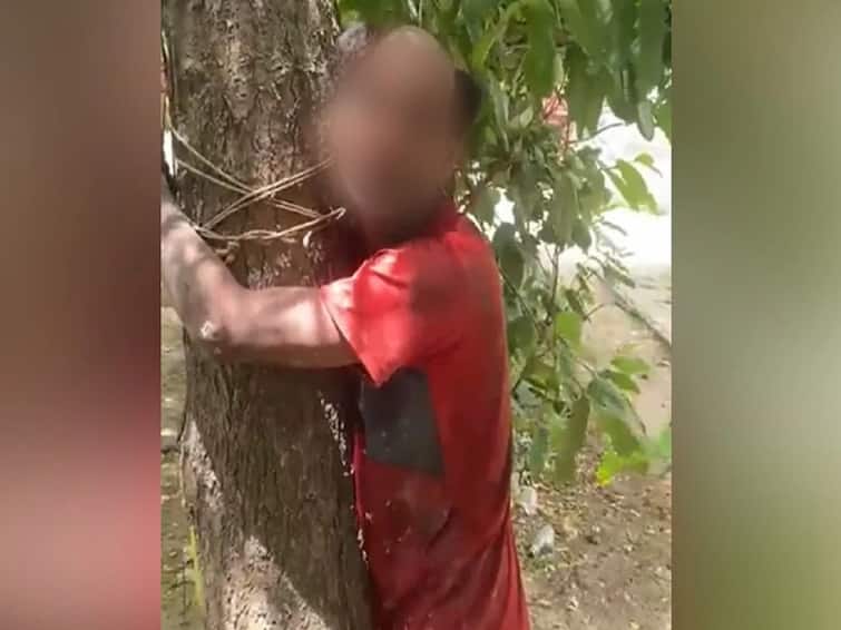 Uttar Pradesh Muslim Man Tied To Tree Hit Forced To Say Jai Shri Ram know more details here Jai Shriram Violence : ஜெய் ஸ்ரீ ராம் கோஷத்தை சொல்ல சொல்லி கட்டாயப்படுத்தியதால் பரபரப்பு...மரத்தில் கட்டிவைக்கப்பட்ட இஸ்லாமியர்...உத்தர பிரதேசத்தில் மீண்டும் அதிர்ச்சி