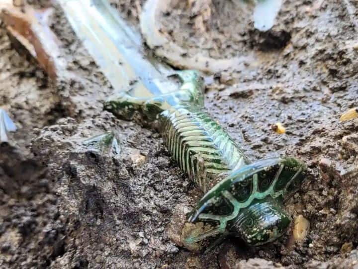 3 हजार साल पुरानी ये तलवार खोल रही है युद्ध के कई राज, जानिए पूरी दुनिया इसे क्यों मान रही है खास 3000 years old sword found in Germany know its specialty 3 हजार साल पुरानी ये तलवार खोल रही है युद्ध के कई राज, जानिए पूरी दुनिया इसे क्यों मान रही है खास