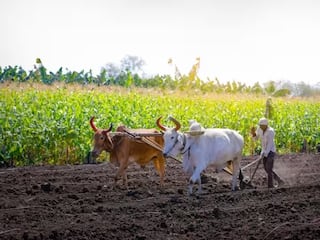 PM Kisan Yojana: এই দিন অ্যাকাউন্টে আসবে প্রধানমন্ত্রী কিষাণ যোজনার  ১৪ তম কিস্তি, আপনি পাবেন কি না জেনে নিন
