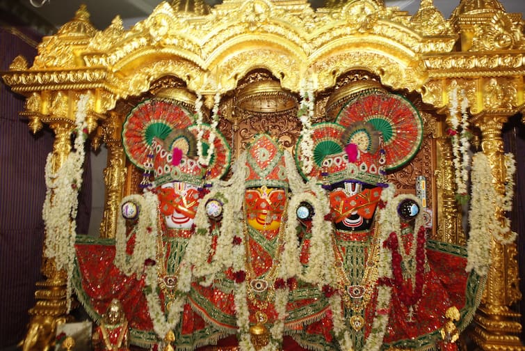 Netrotsav ritual of Lord Jagannath  held today in Ahmedabad Netrotsav ritual Jagannath 2023 : ભગવાન જગન્નાથની યાત્રાનું કાઉન્ટ ડાઉન શરૂ, આજે પરંપરાગત રીતે યોજાશે નેત્રોત્સવ વિધિ