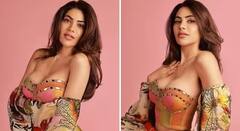 Nikki Tamboli: ਡੀਪਨੇਕ ਬਲਾਊਜ਼ ਪਾ ਕੇ ਨਿੱਕੀ ਤੰਬੋਲੀ ਨੇ ਦਿਖਾਈ ਖ਼ੂਬਸੂਰਤੀ, ਫੋਟੋਆਂ ਦੇਖ ਕੇ ਹੈਰਾਨ ਹੋਏ ਫੈਨਜ਼